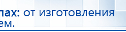 Электроды Скэнар -  двойной овал 55х90 мм купить в Новороссийске, Электроды Скэнар купить в Новороссийске, Дэнас официальный сайт denasdoctor.ru